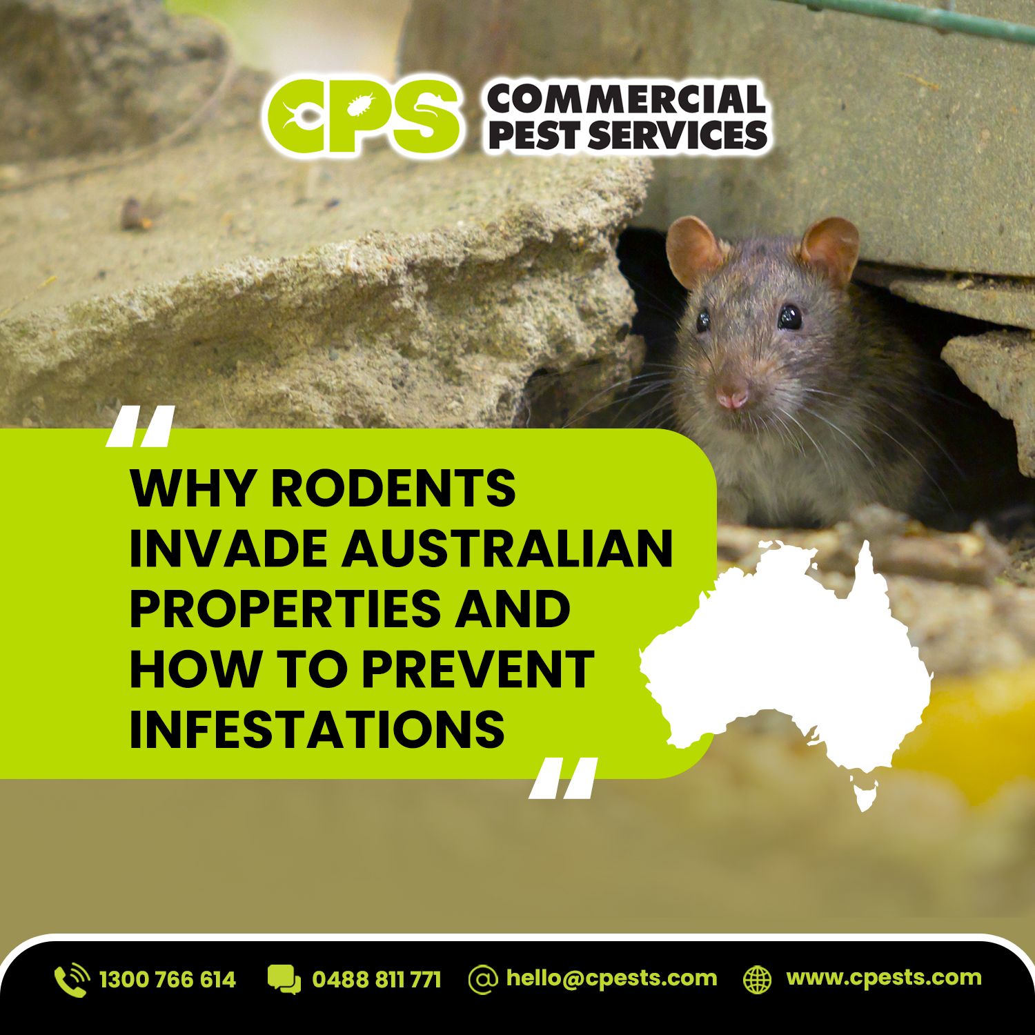 Why rodents invade our properties and how to prevent them| CPS