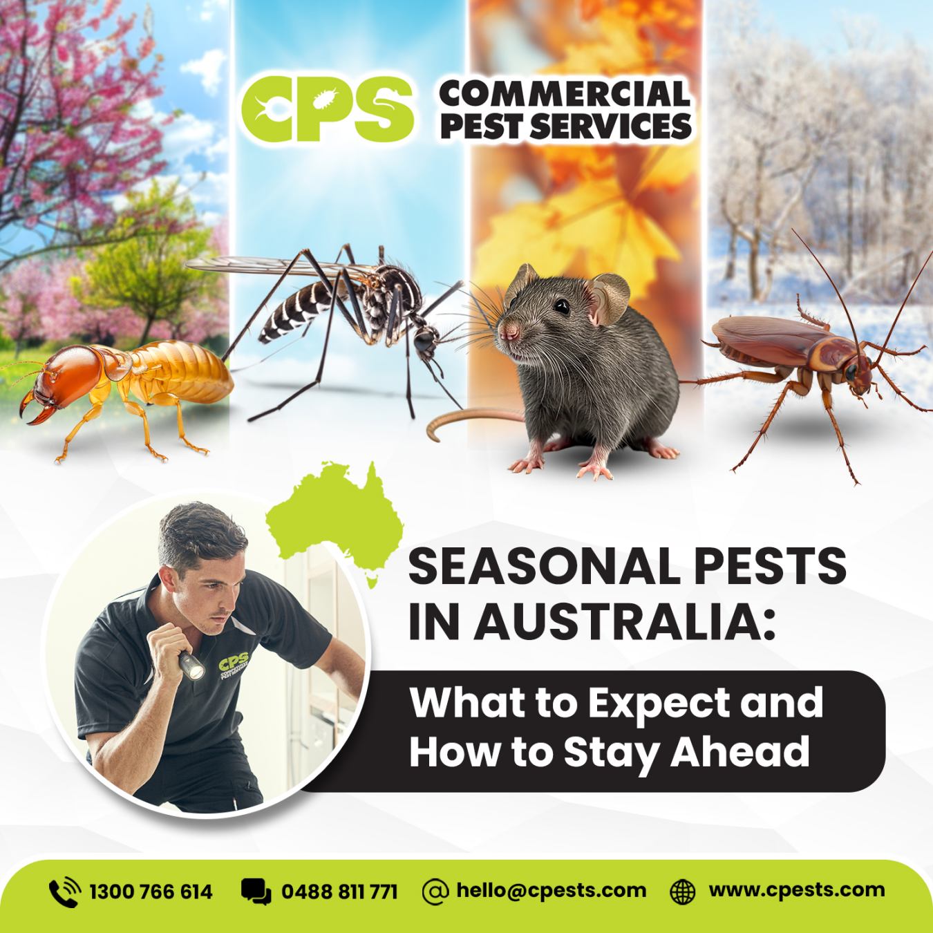 Seasonal Pests Australia: What to Expect and How to Stay Ahead