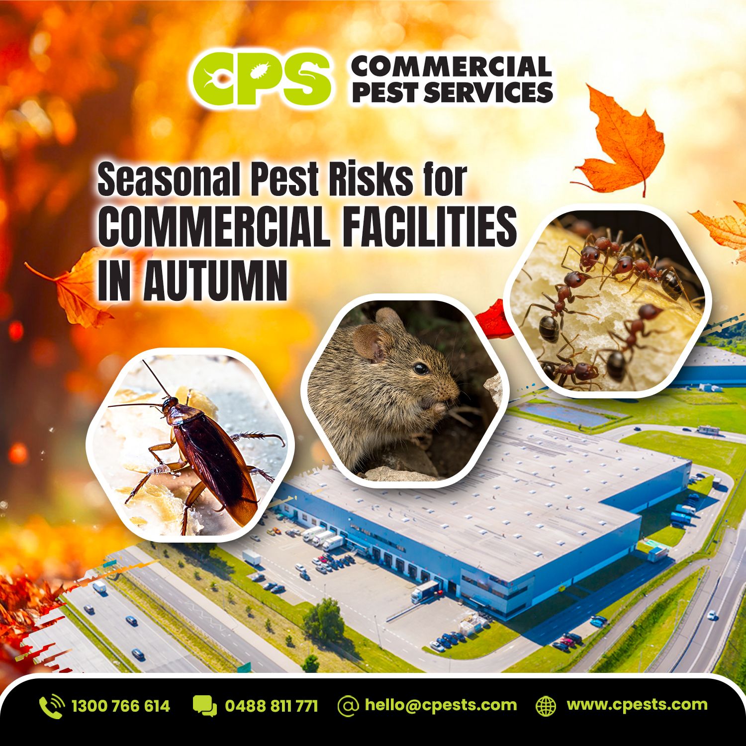 Seasonal Pest Risks for Commercial Facilities in Autumn