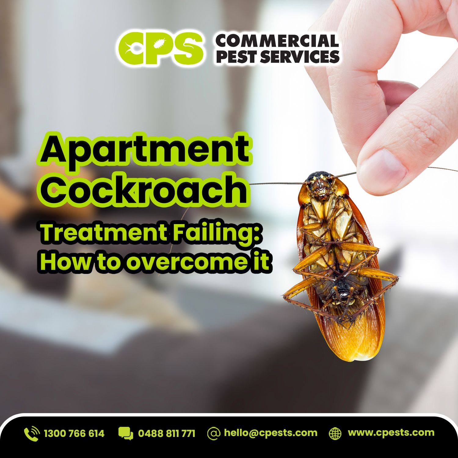Apartment Cockroach Treatment Failing: How to overcome it 