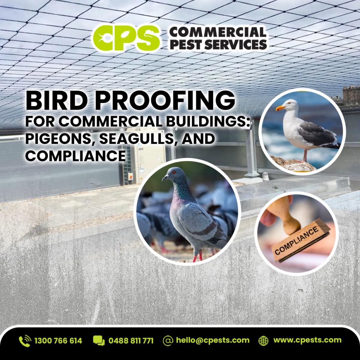 Bird Proofing