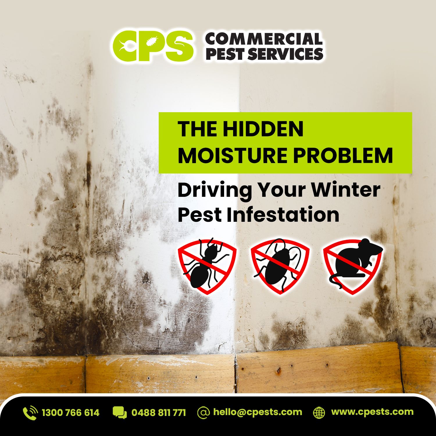 Hidden Moisture: The Overlooked Risk Behind Water Damage and Winter Pest Activity