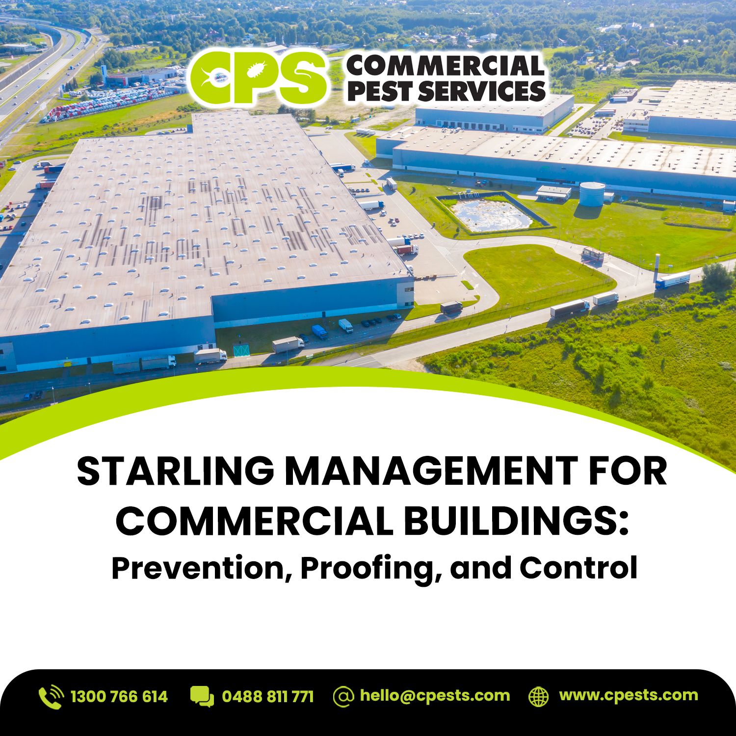 Starling Management for Commercial Buildings: Prevention, Proofing, and Control