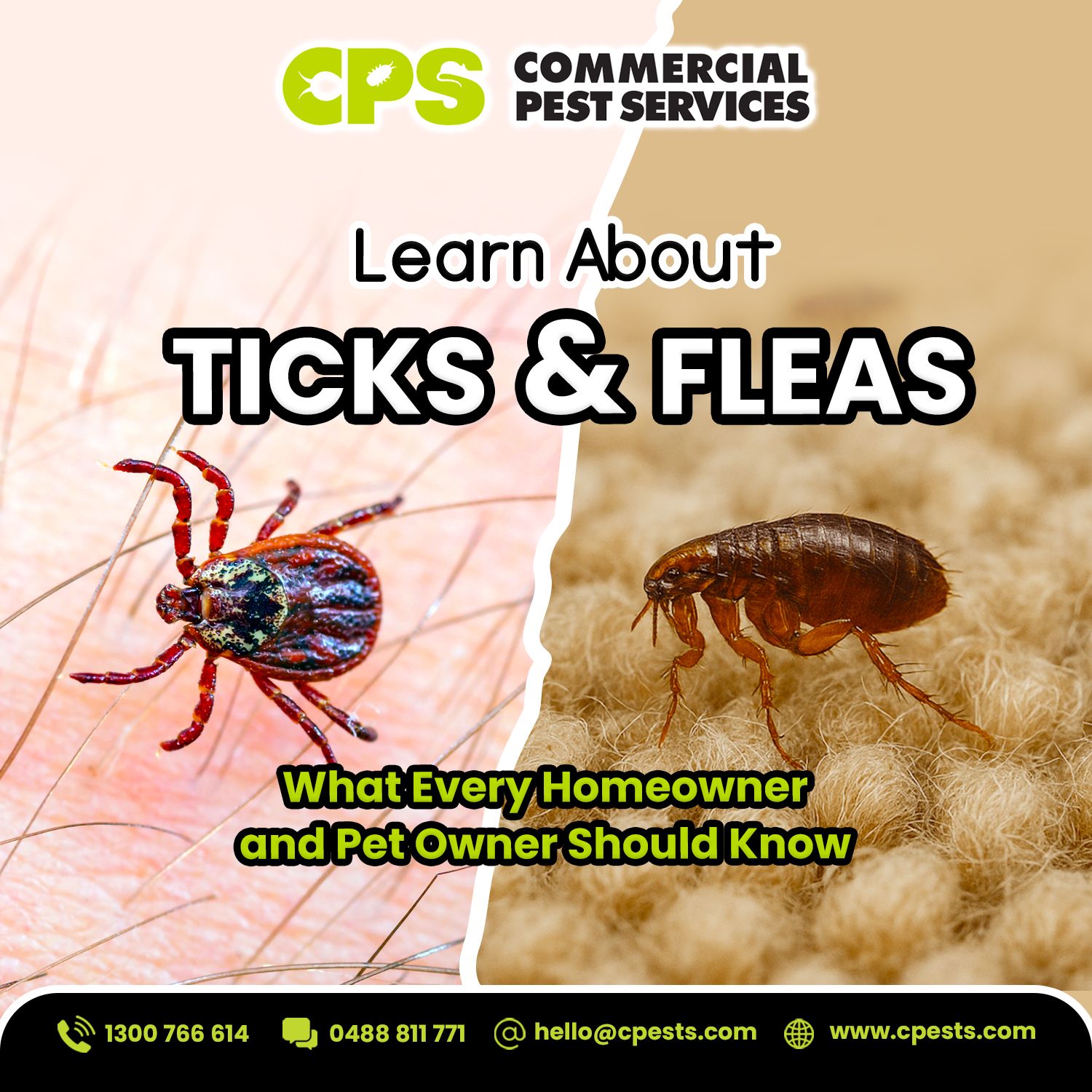 Learn More About Ticks and Fleas: What Every Homeowner and Pet Owner Should Know 