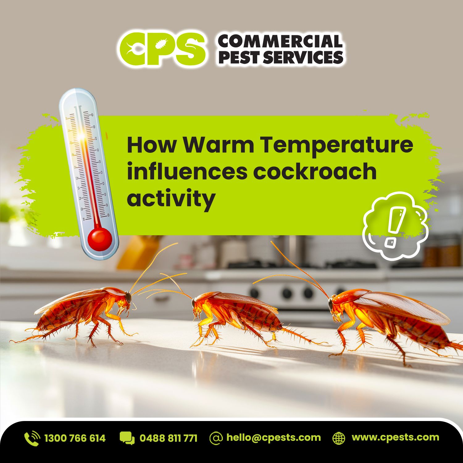 How Warm Temperatures Increase Cockroach Activity in Australia