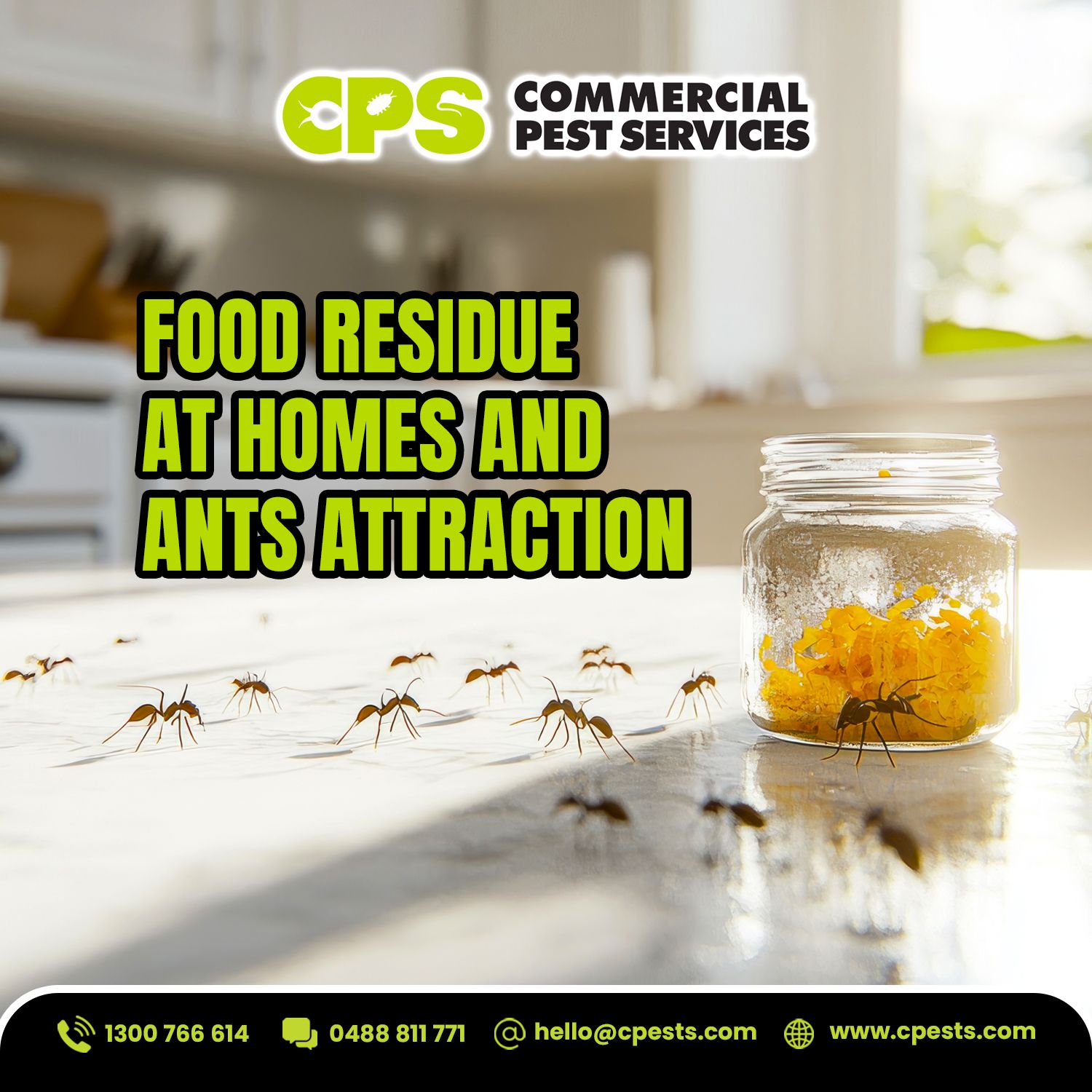 Food Residues at Homes: What Attracts Ants Indoors?