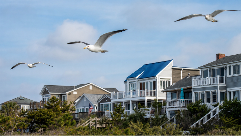  Seagulls flying across the beach houses  