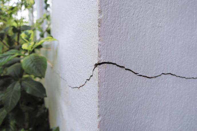 small cracks and vegetation near buildings as pest entry points 