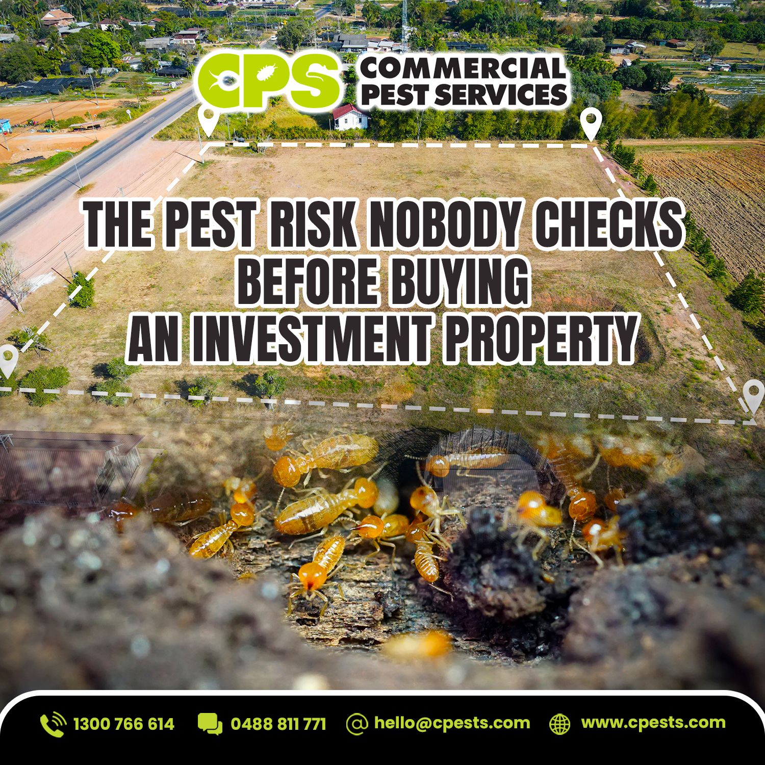 The Pest Risk Nobody Checks Before Buying an Investment Property 