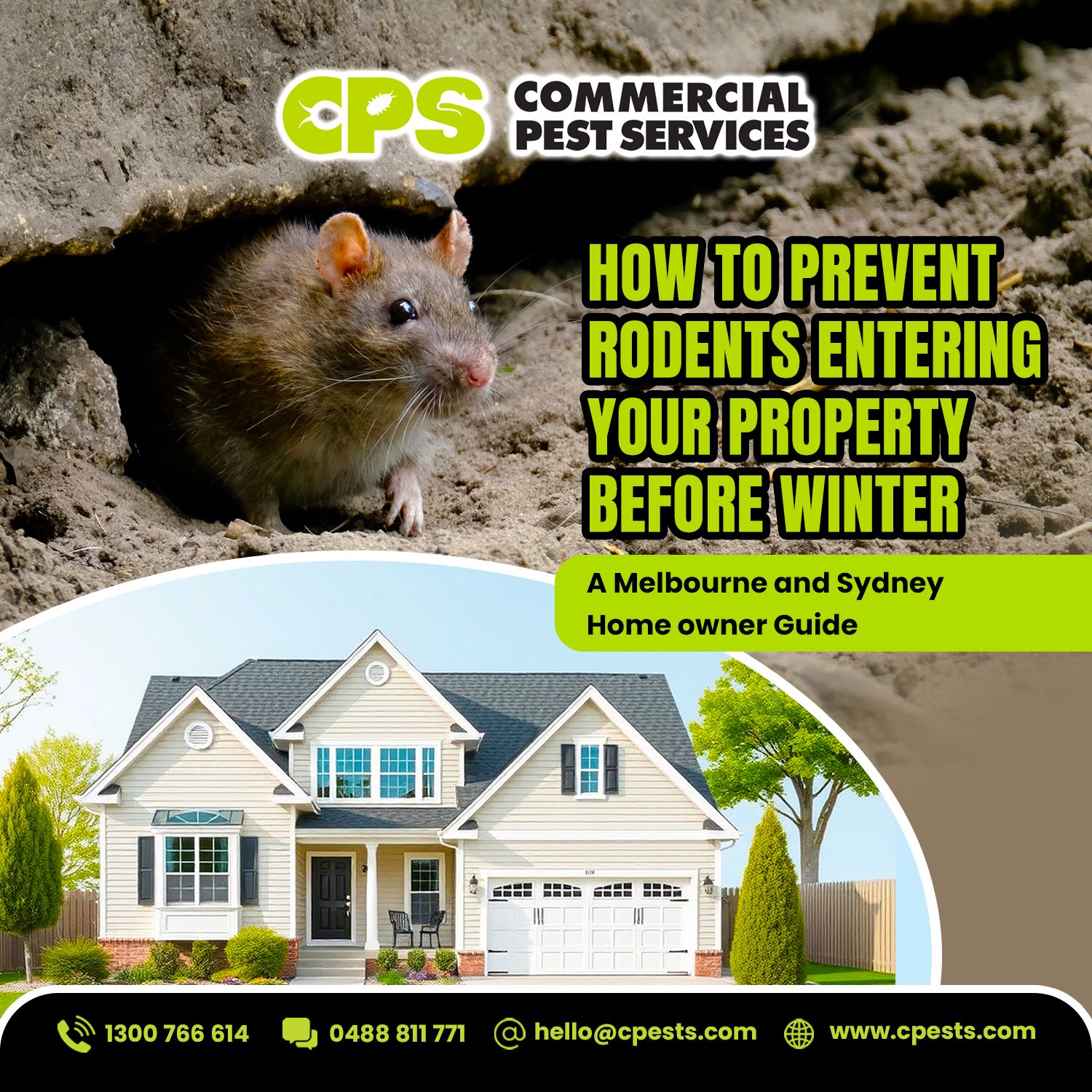 How to Prevent Rodents Entering Your Property Before Winter: A Melbourne and Sydney Homeowner Guide 