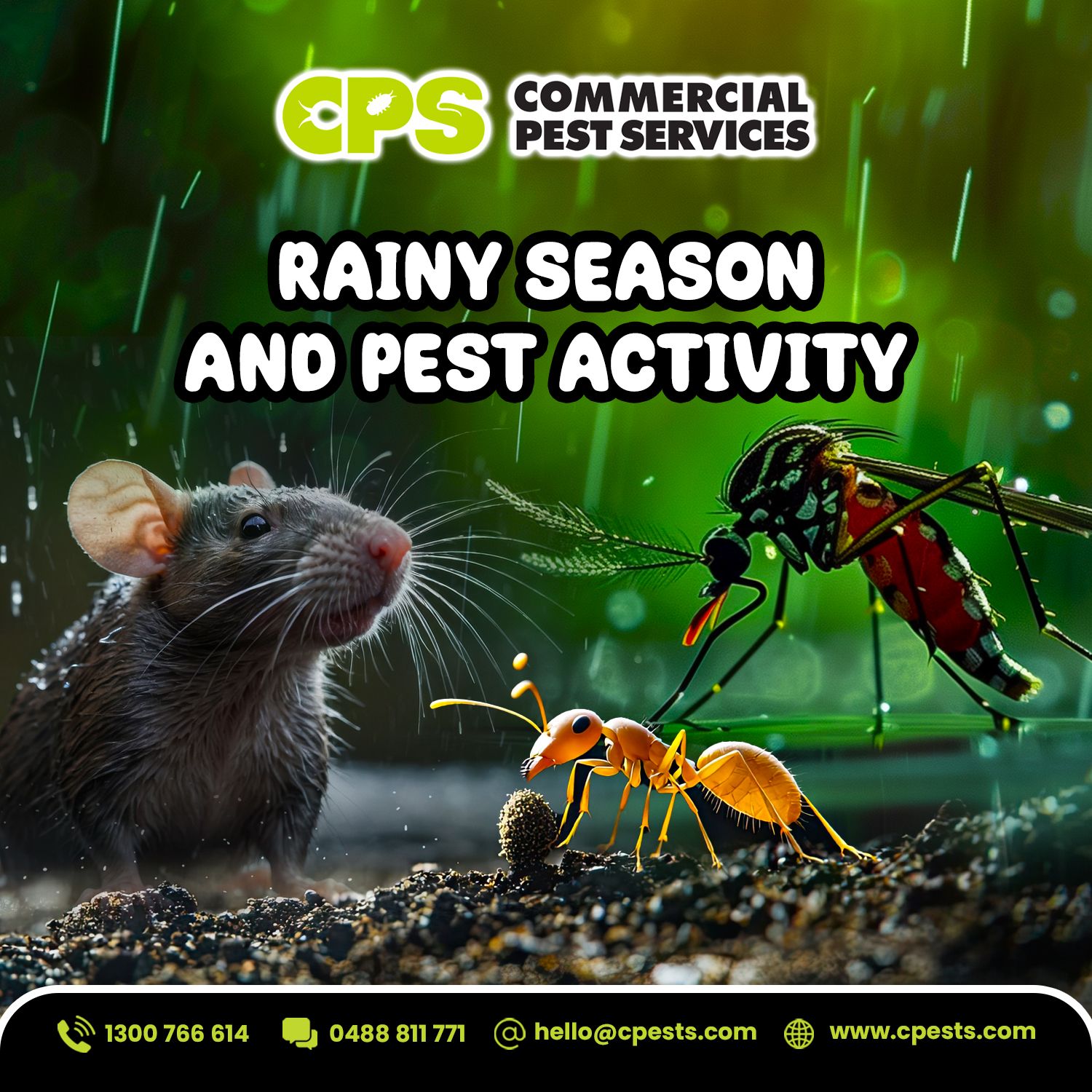 Rainy Season and Pest Activity in Australia