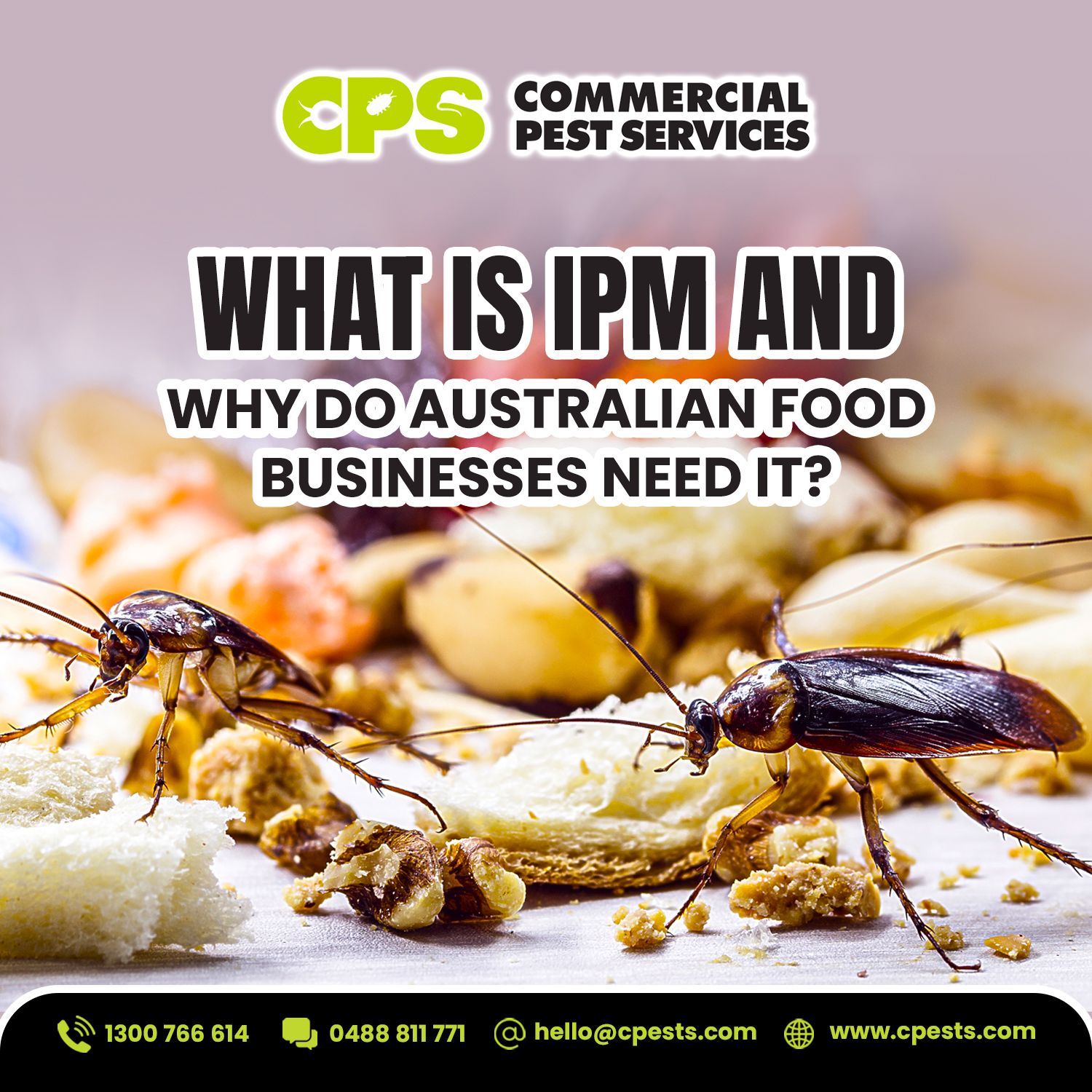 What Is IPM and Why Do Australian Food Businesses Need It?