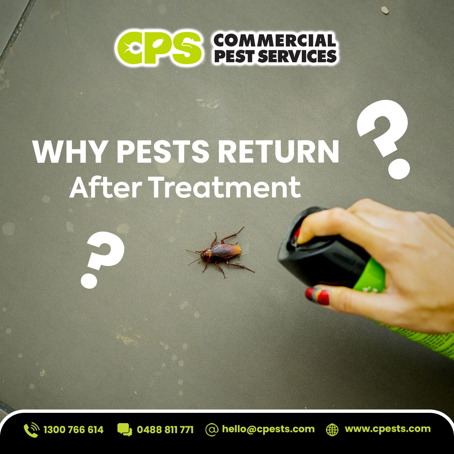 Why Pests Return After Treatment
