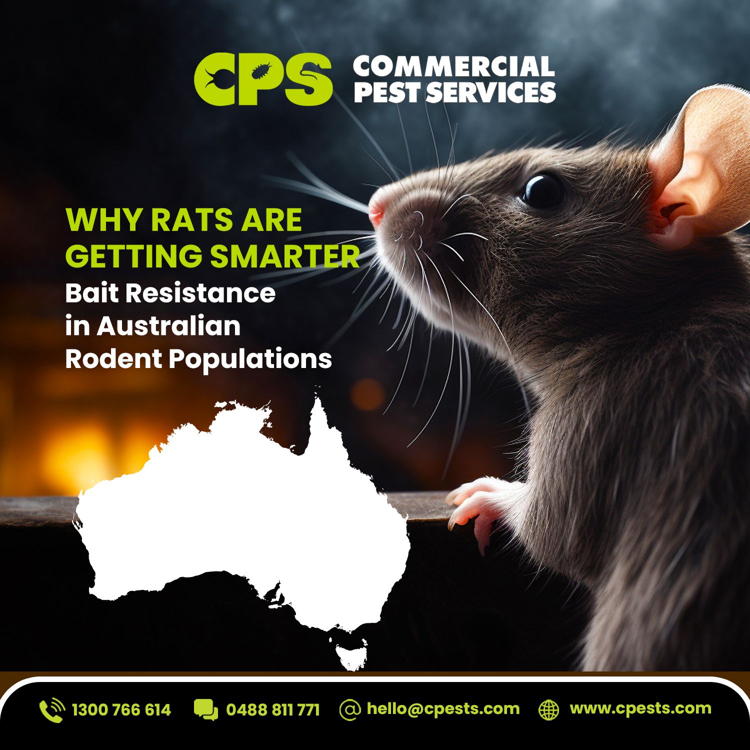 Why Rats Are Getting Smarter: Bait Resistance in Australian Rodent Populations 