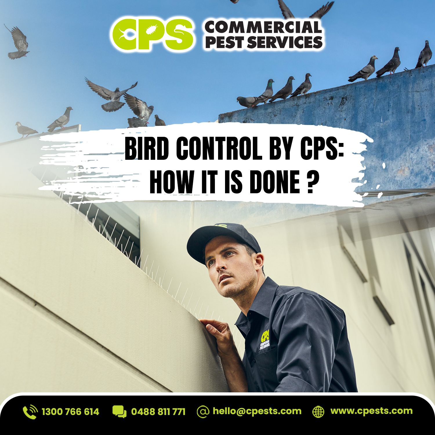 Bird Control by CPS: Protecting Properties While Respecting Wildlife 