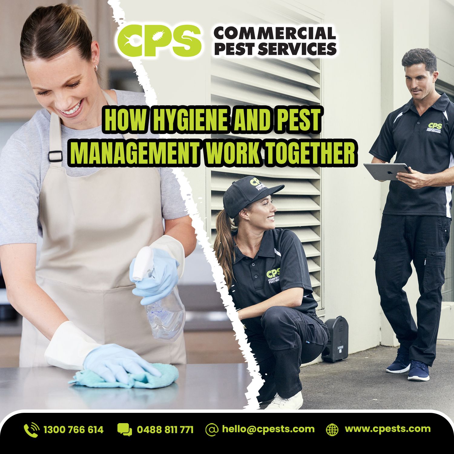 How Hygiene and Pest Management Work Together 