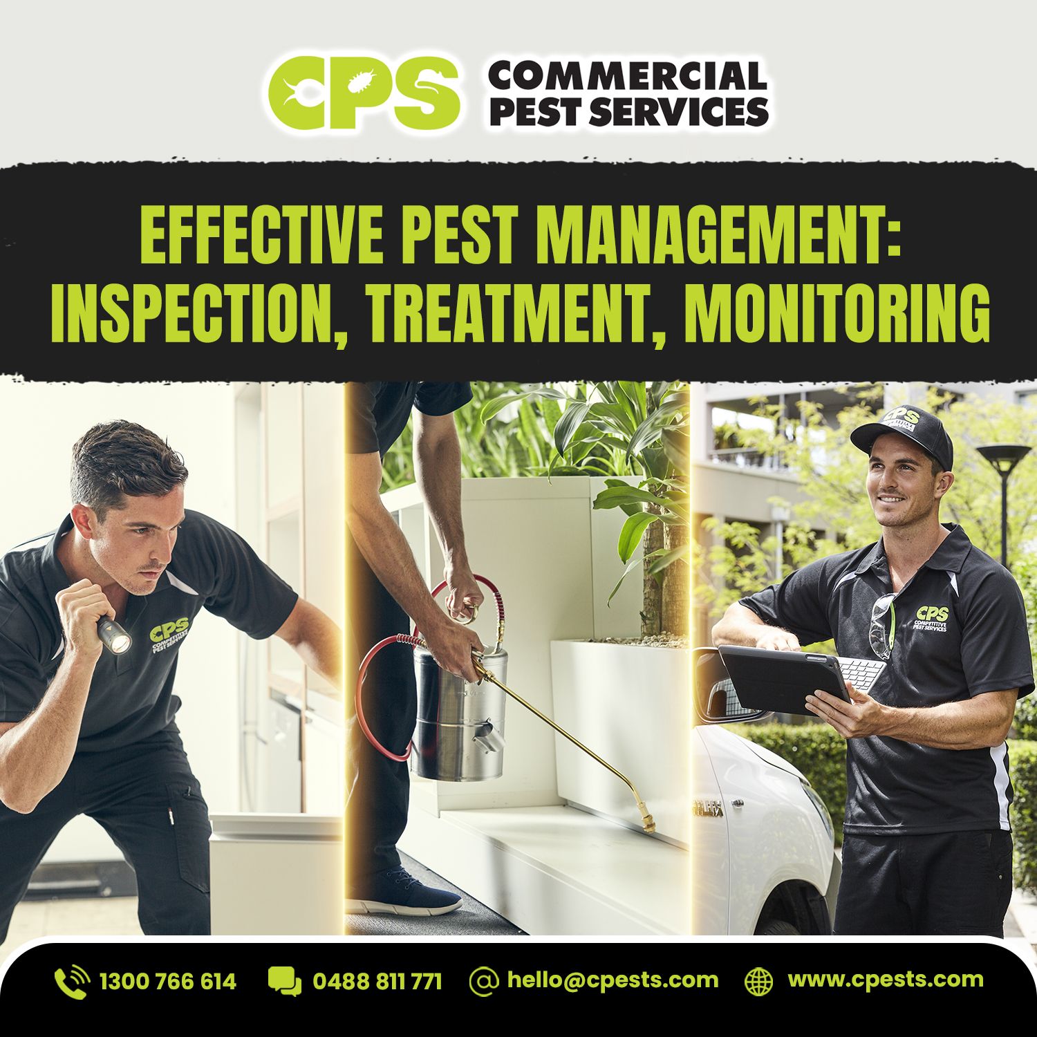Effective Pest Management: Inspection, Treatment and Monitoring 