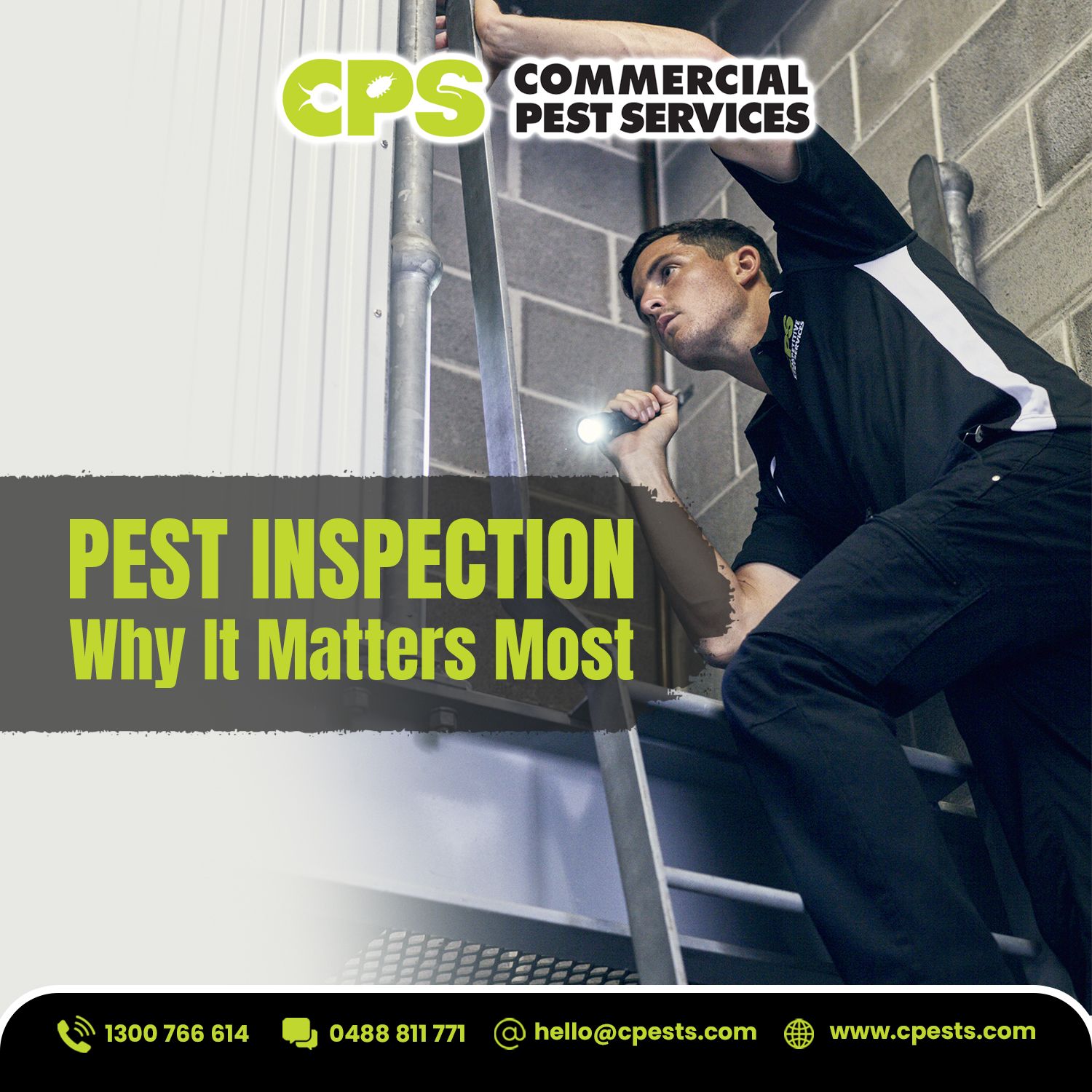 Pest Inspection: Why It Matters More Than You Think