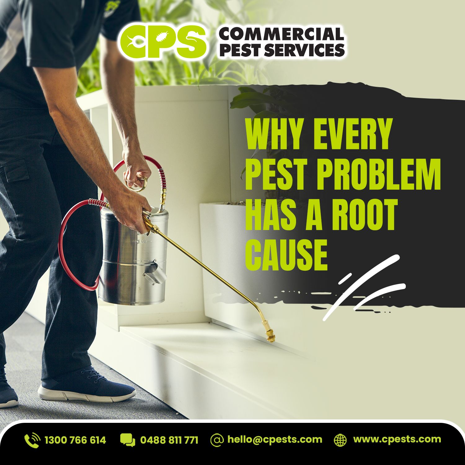 Why Every Pest Problem Has a Root Cause 