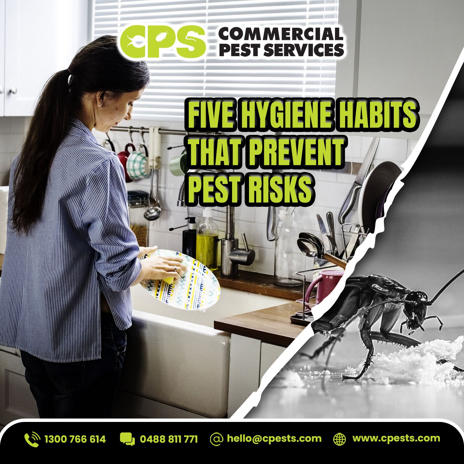 5 Hygiene Habits That Help Prevent Pest Infestations 