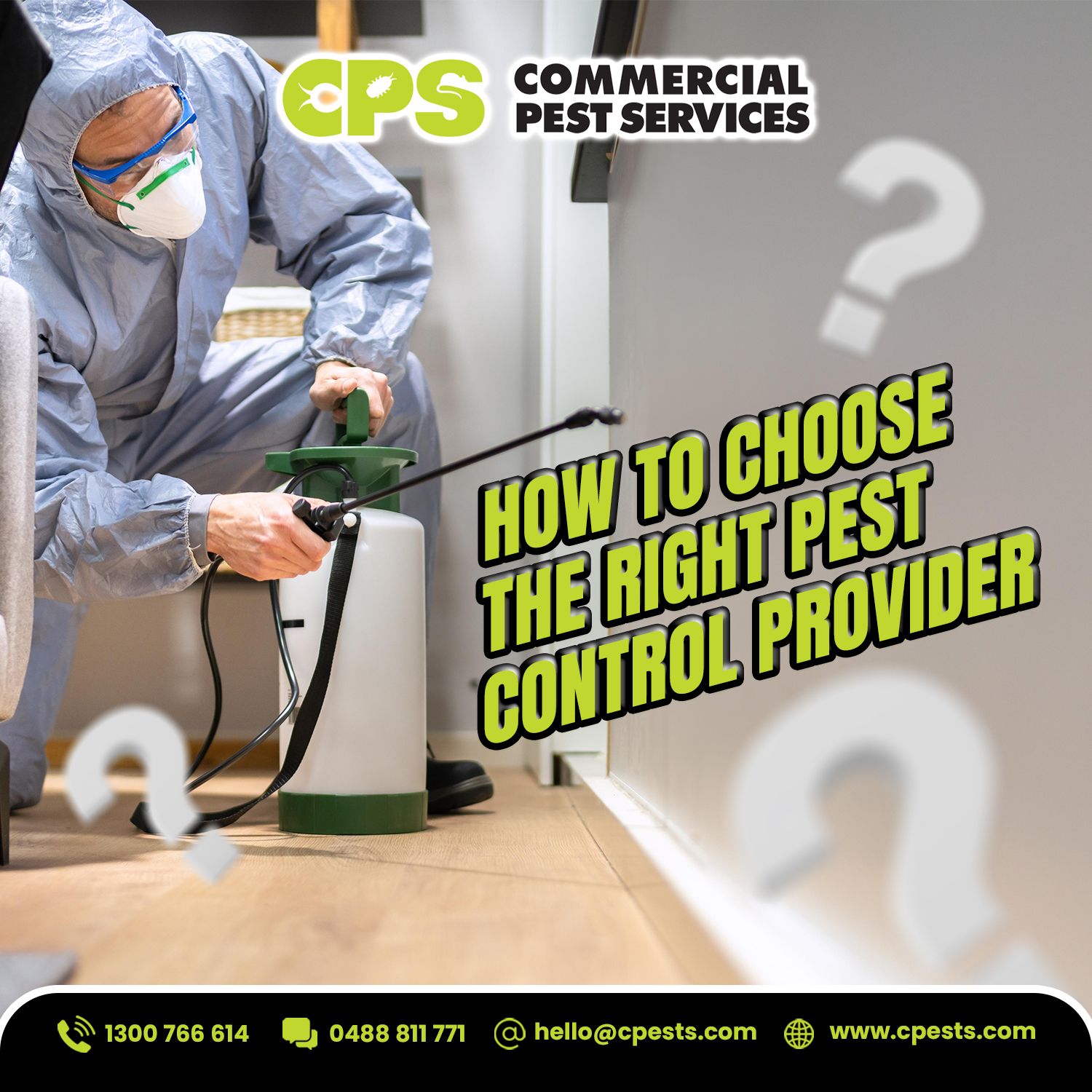 How to Choose the Right Pest Control Provider for Your Home 