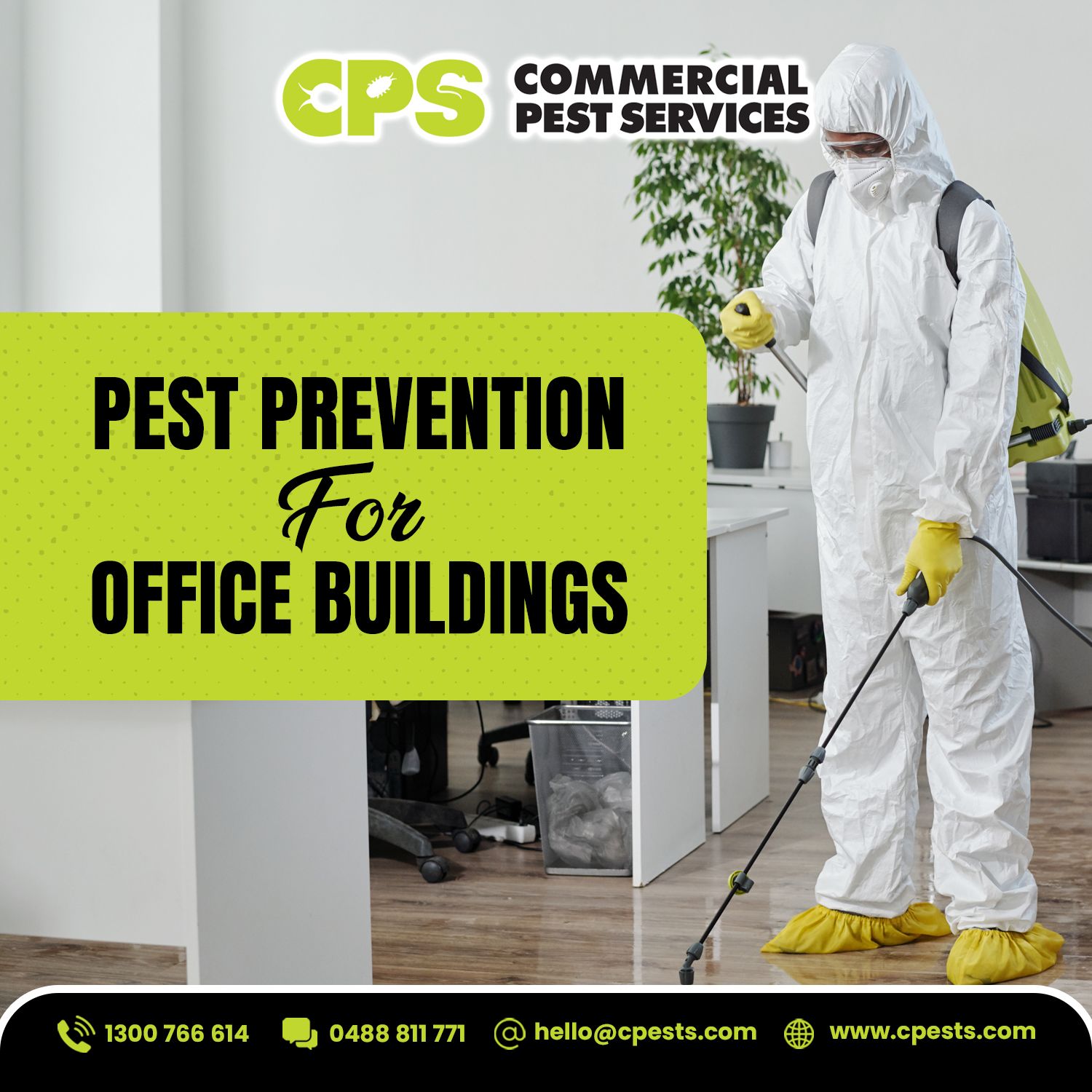Office Pest Prevention: How to Keep Your Workplace Protected 