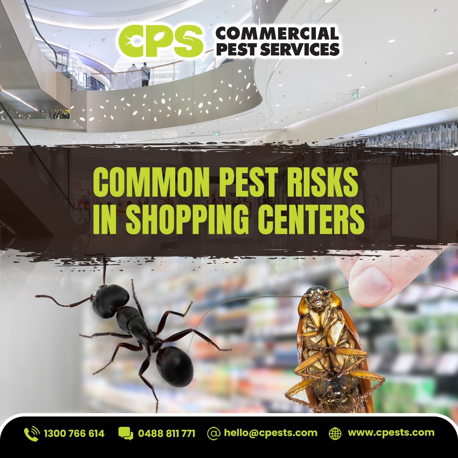 Common Pest Risks in Shopping Centres and How to Manage Them 