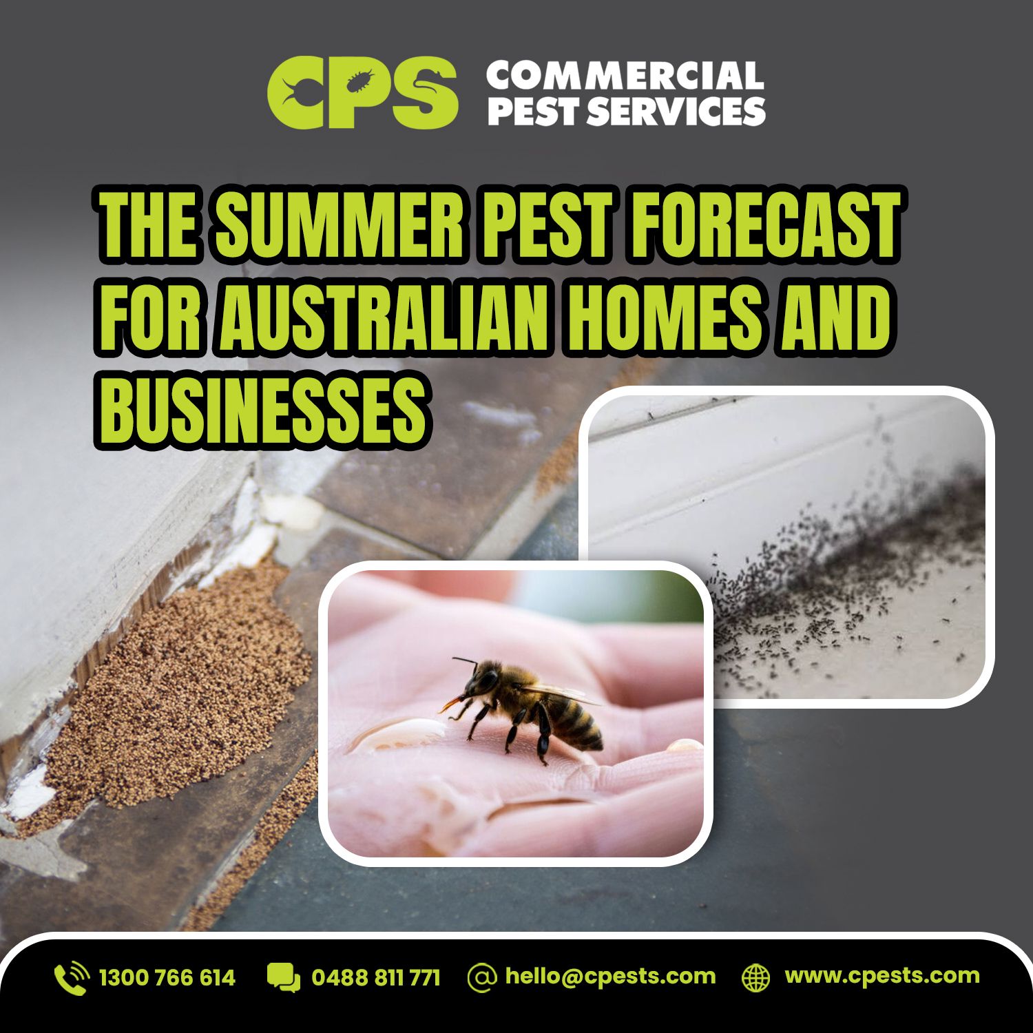 The Summer Pest Forecast for Australian Homes and Businesses 
