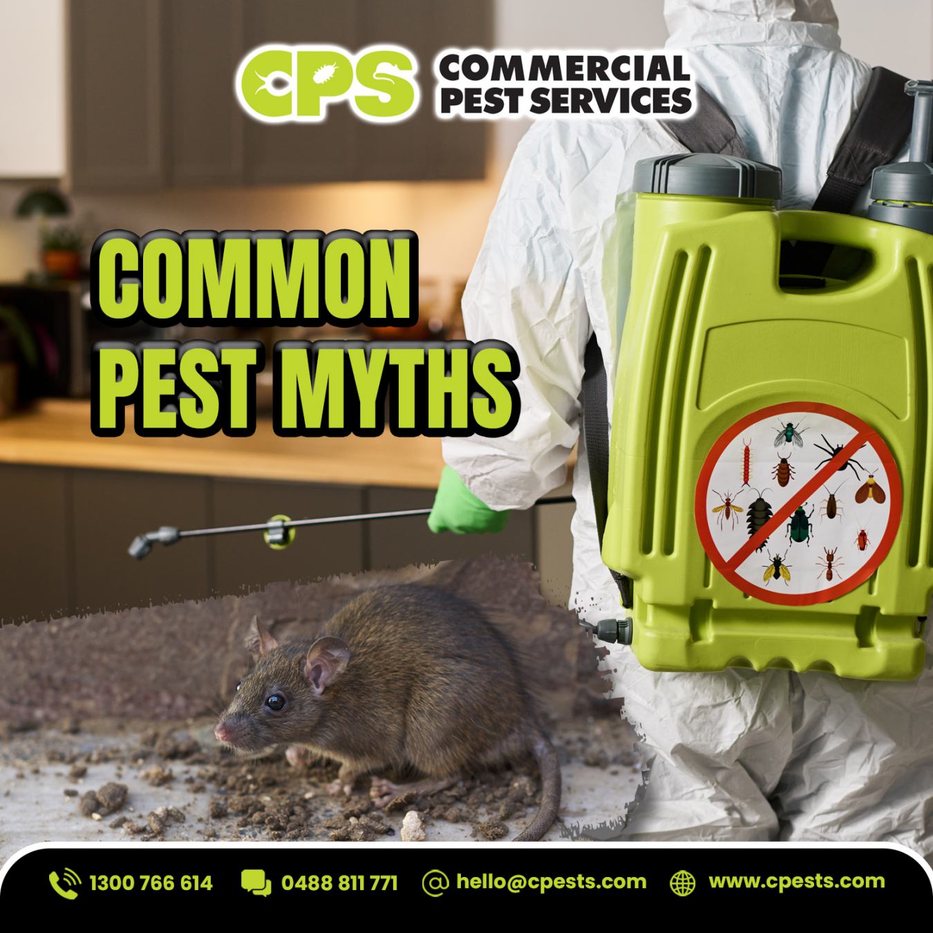 Common Pest Myths