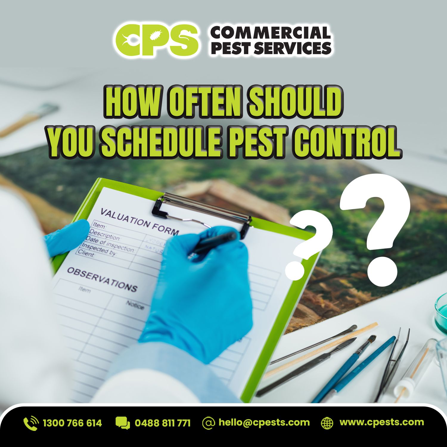 How Often Should You Schedule Pest Control for Your Home? 