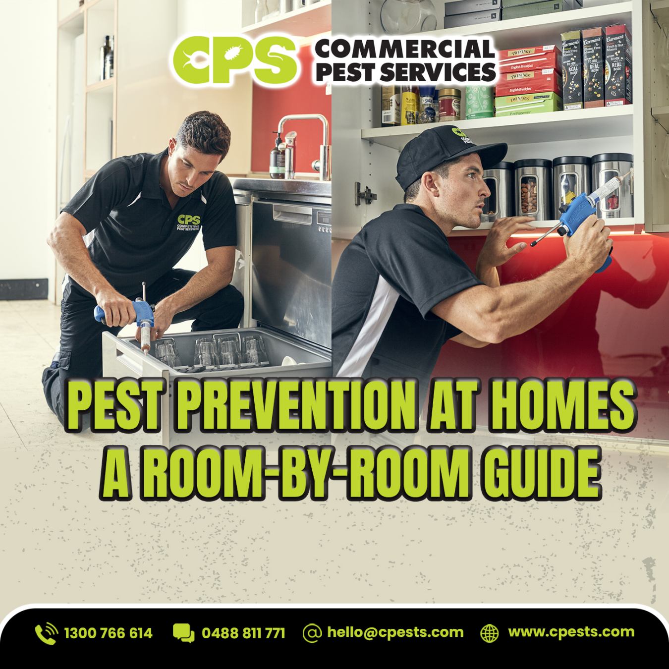 A Room-by-Room Guide to Pest Prevention at Home 