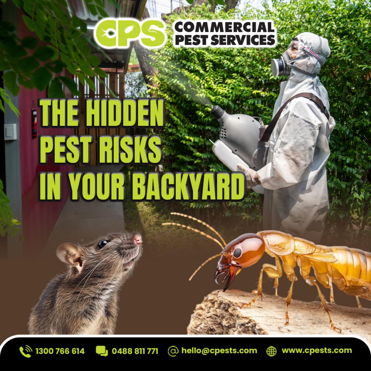 The Hidden Pest Risks in Your Backyard 
