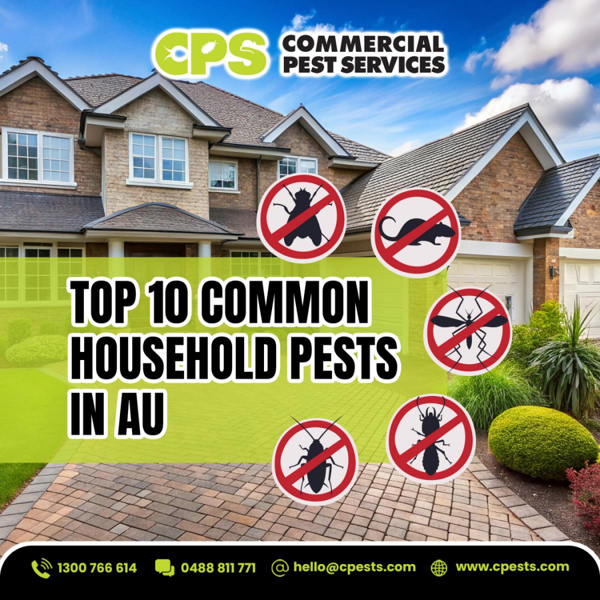 Top 10 Common Household Pests in Australia and How to Identify Them 