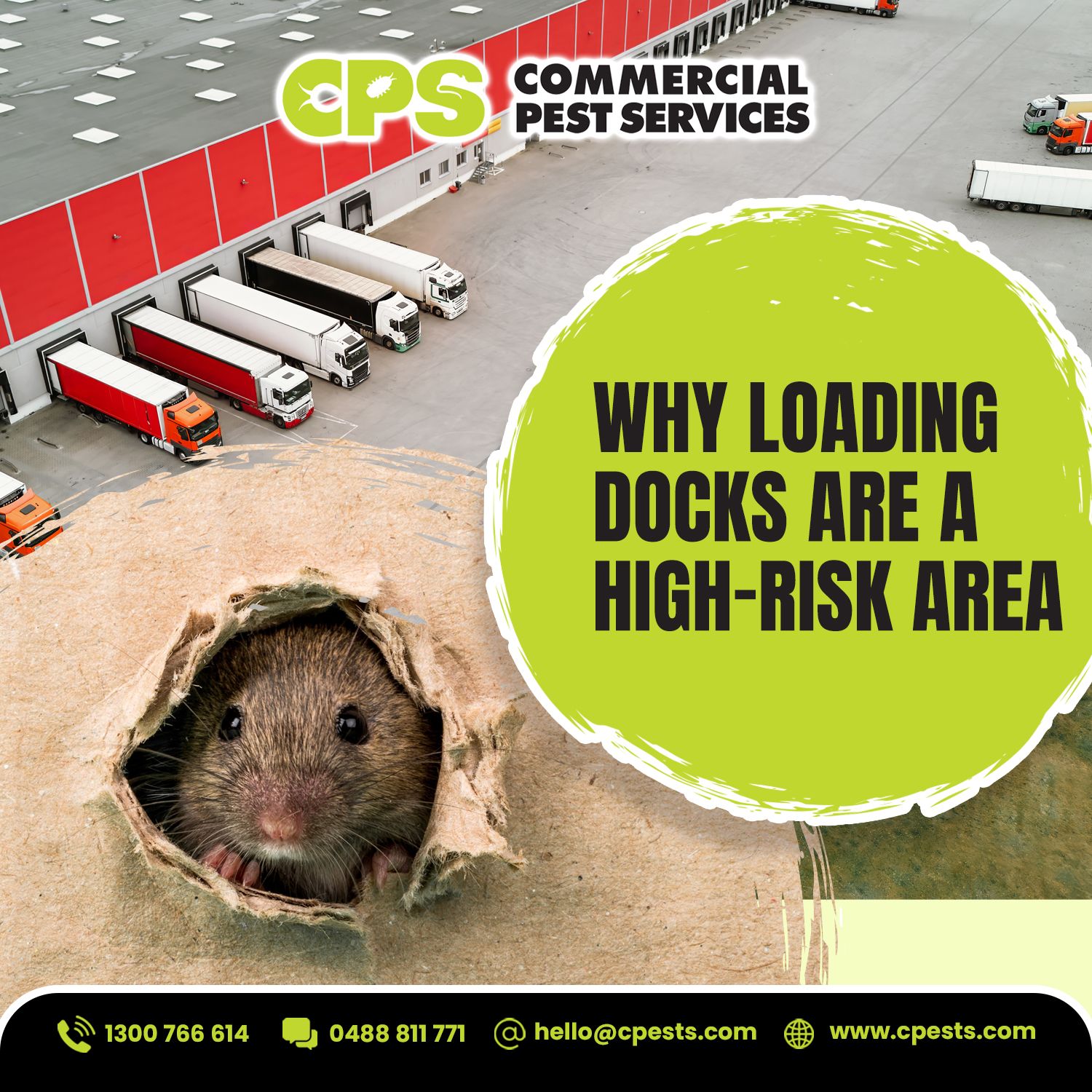 Why Loading Docks Are High-Risk Areas for Pest Activity 
