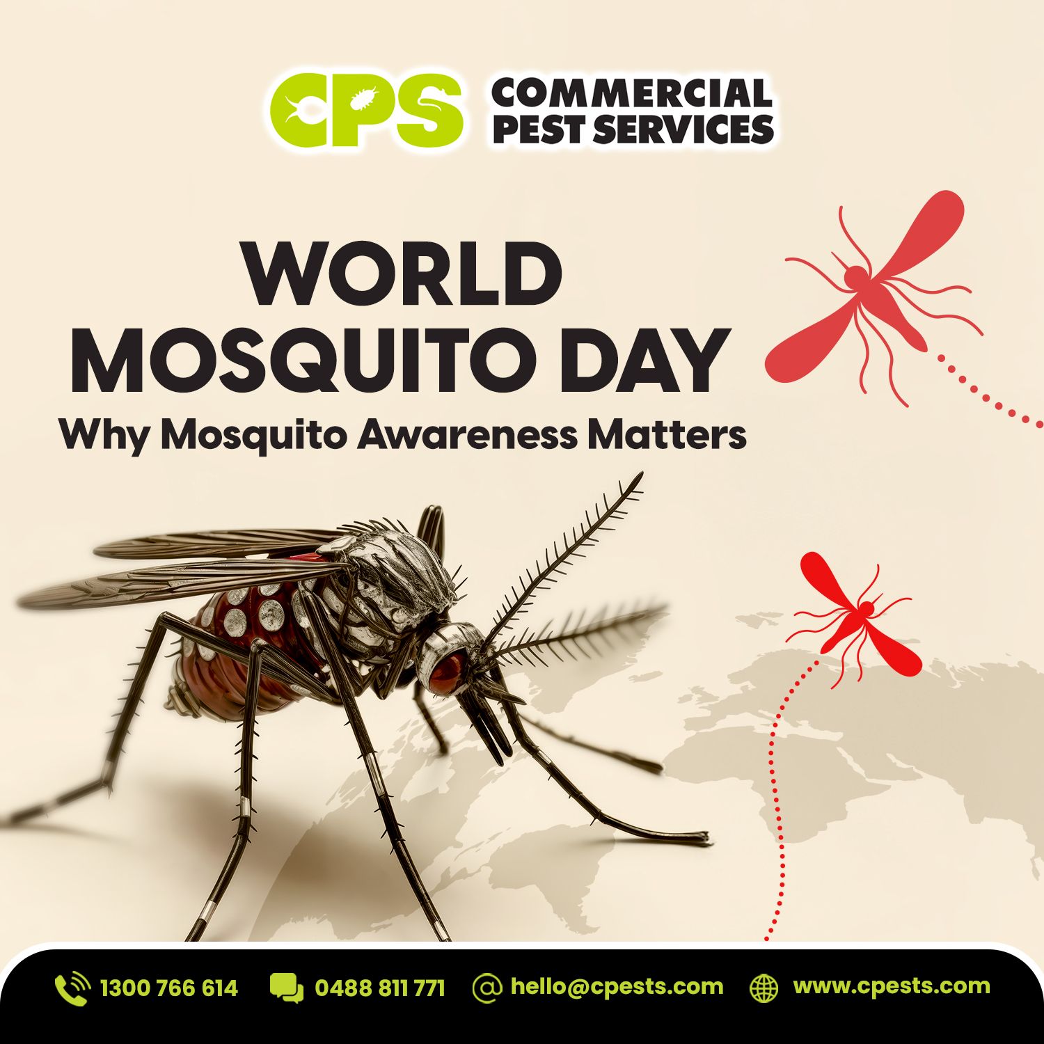 World Mosquito Day: Why Mosquito Awareness Matters 