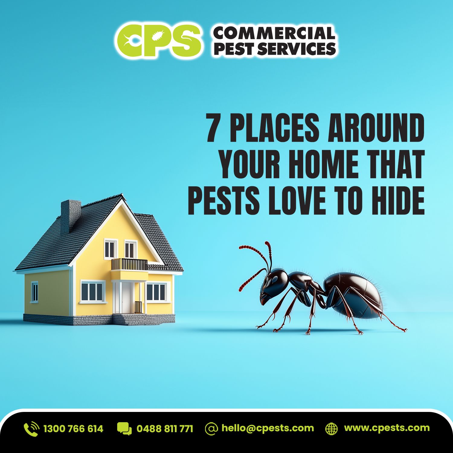 7 Places Around Your Home That Pests Love to Hide 