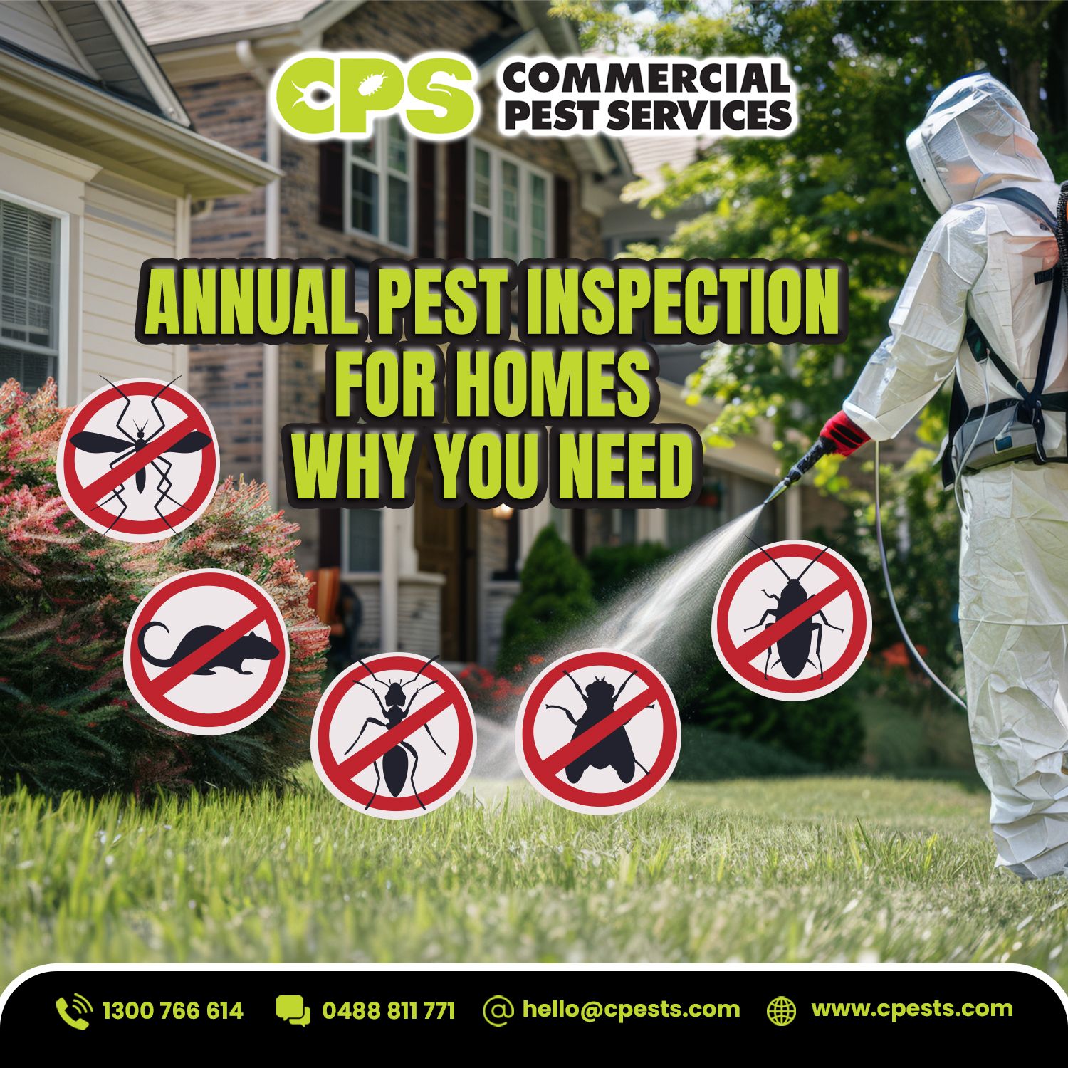 Why Every Home Needs an Annual Pest Inspection 