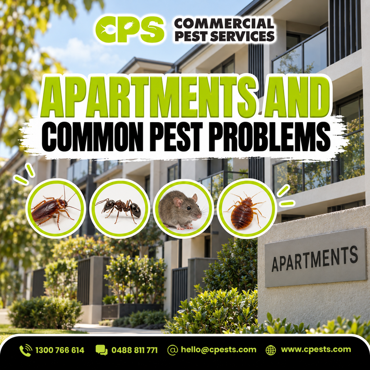 Apartments and Common Pest Problems: What Residents Should Know 