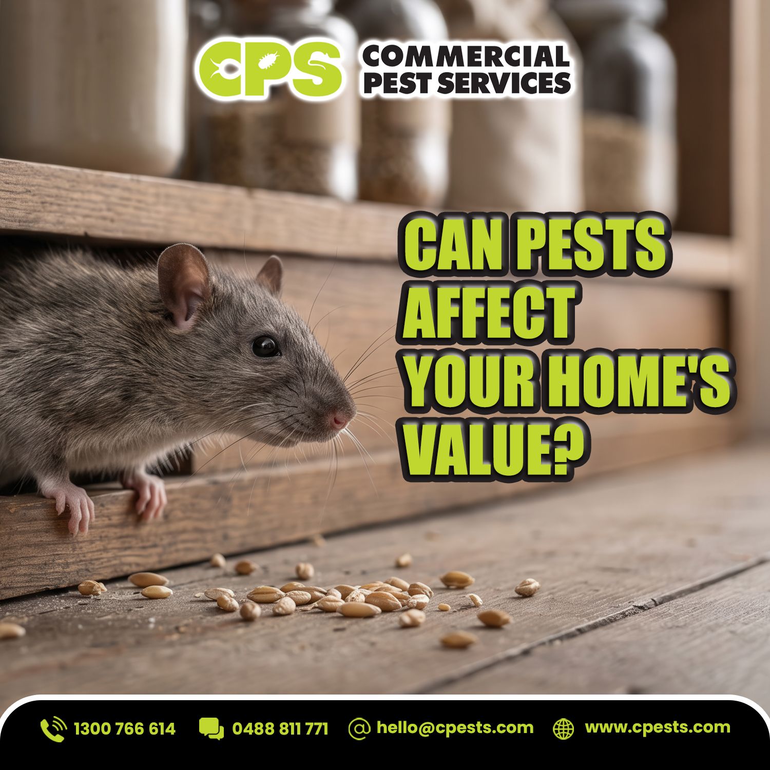 Can Pests Affect Your Home’s Value?