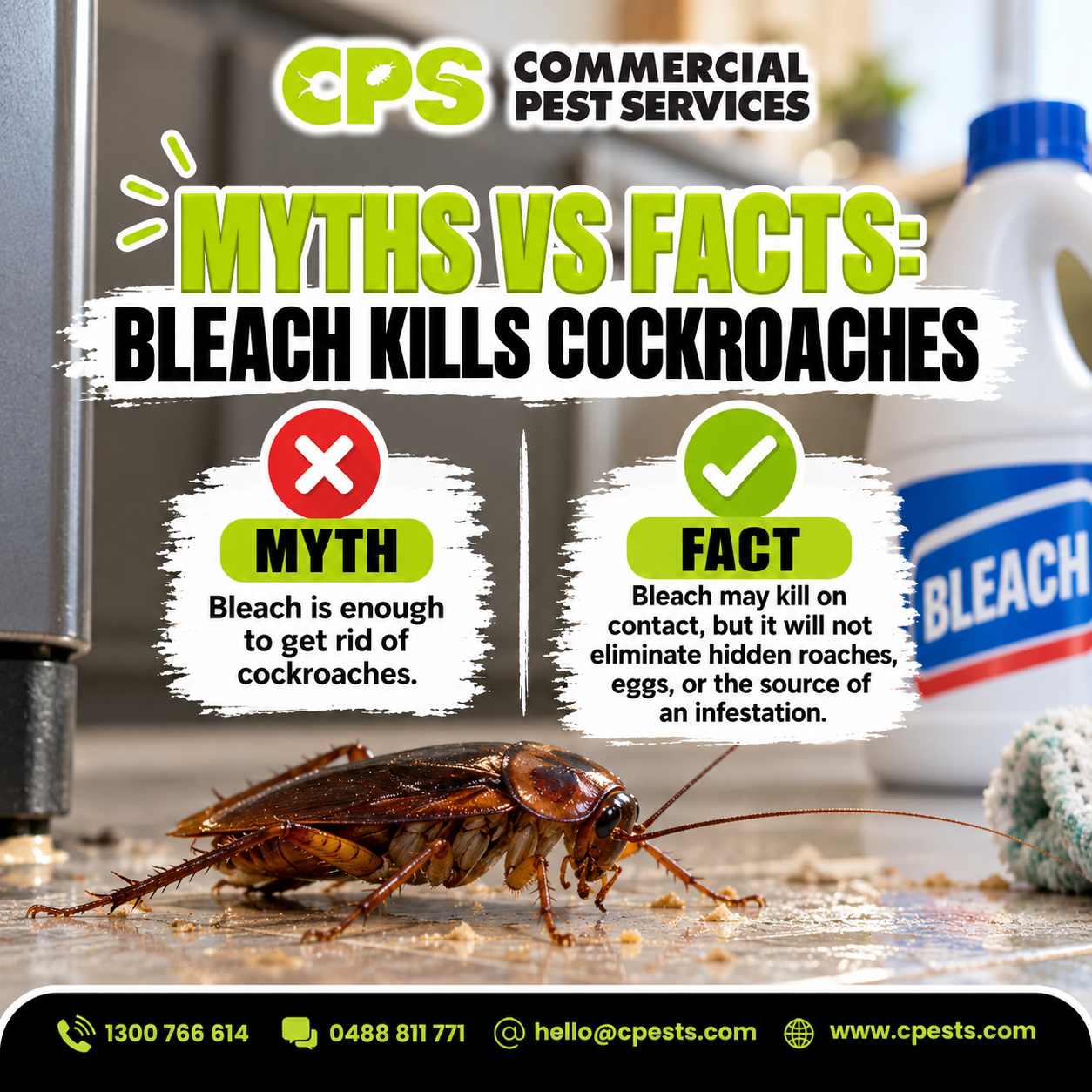 Myths vs Facts: Does Bleach Kill Cockroaches? 