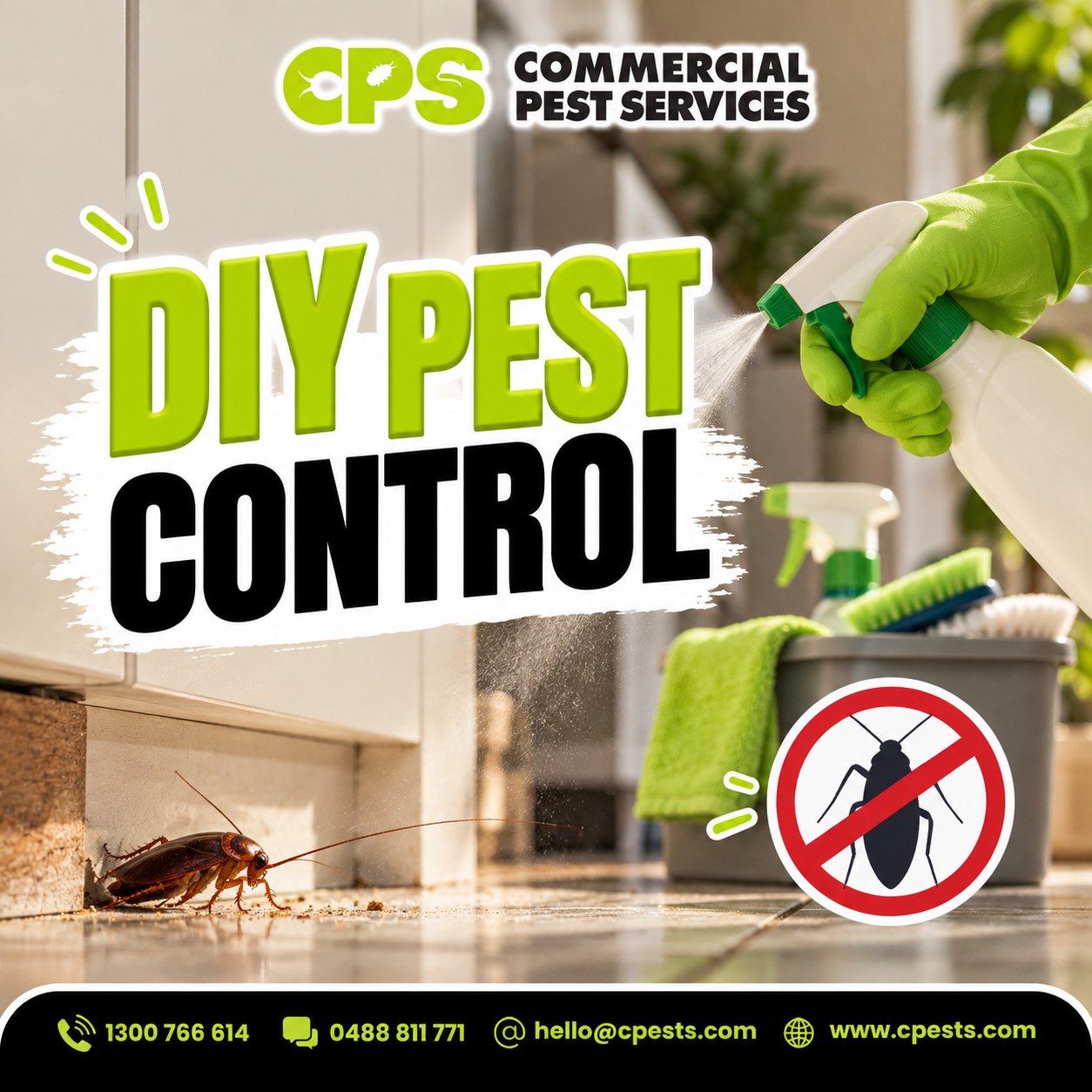 DIY Pest Control: Does It Really Work? 