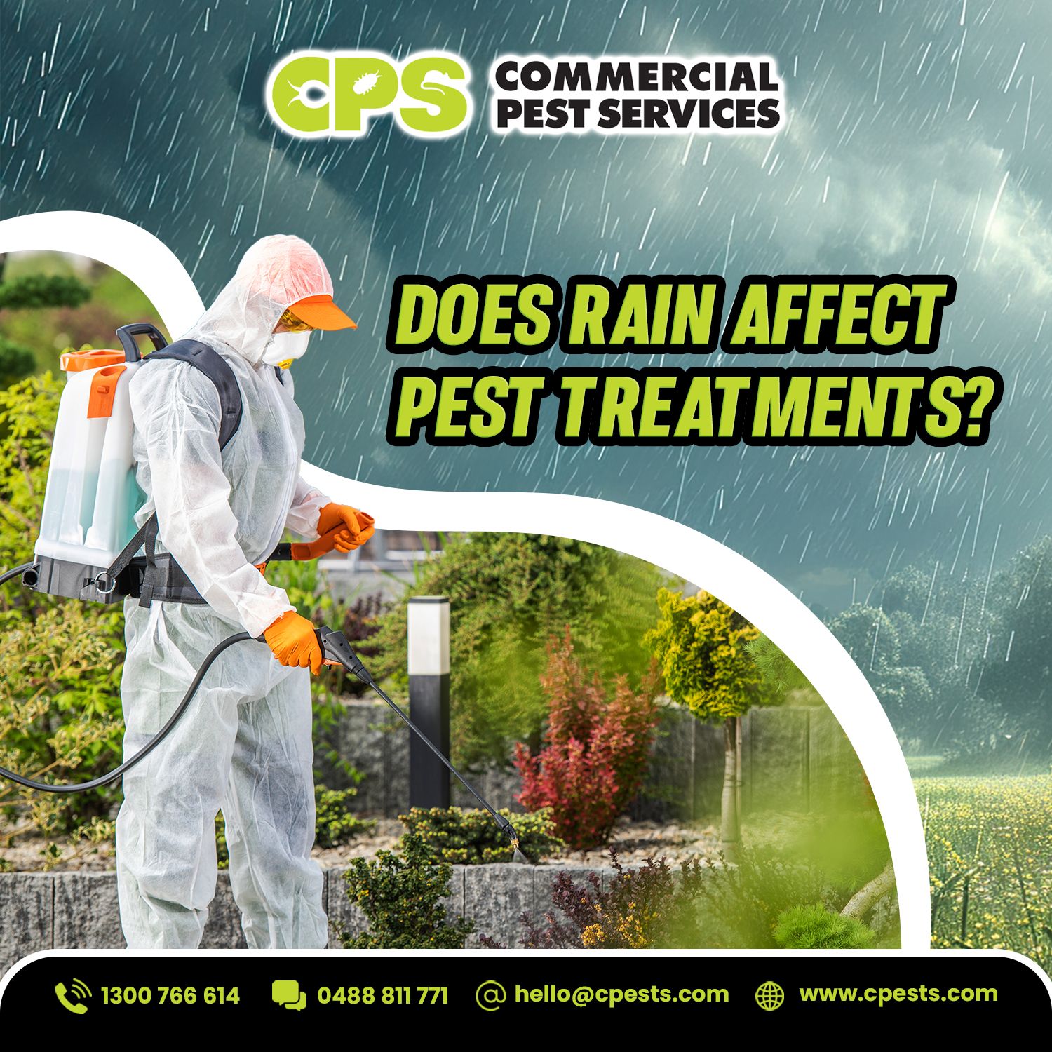 Does Rain Affect Pest Treatments? Here’s What You Should Expect 