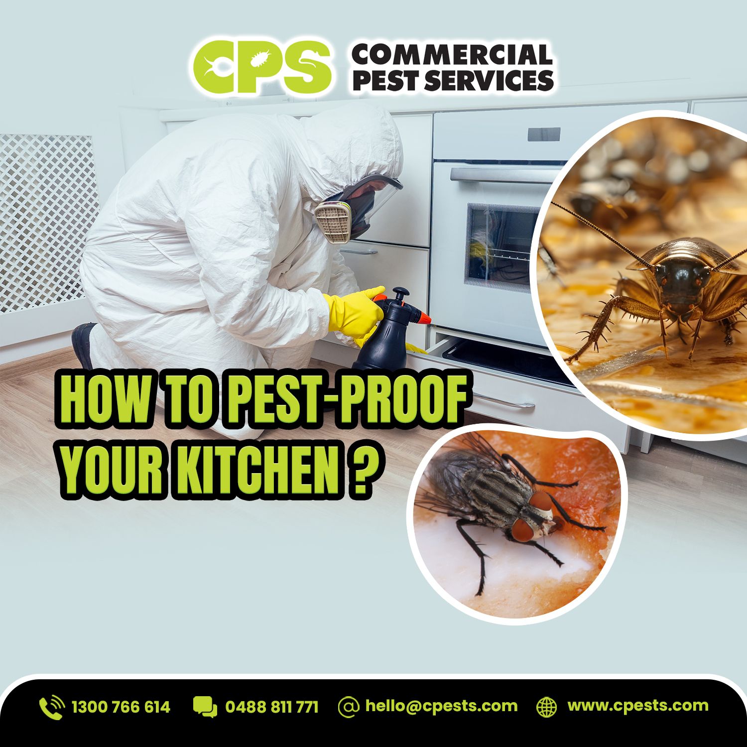 How to Pest-Proof Your Kitchen: Simple Ways to Keep Common Pests Away 