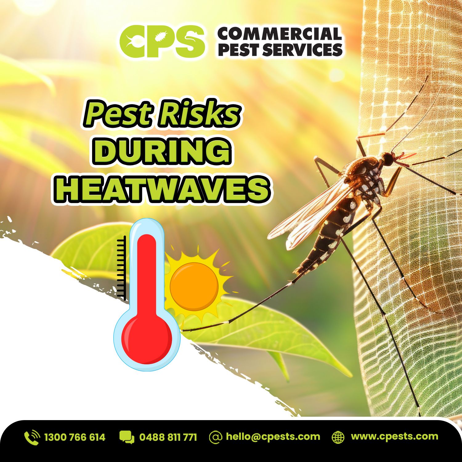 Heatwaves Are Making Headlines Worldwide: Here’s Why Australians Should Prepare for Summer Pests Now 
