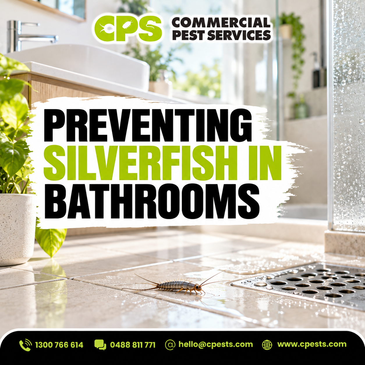 Preventing Silverfish in Bathrooms 