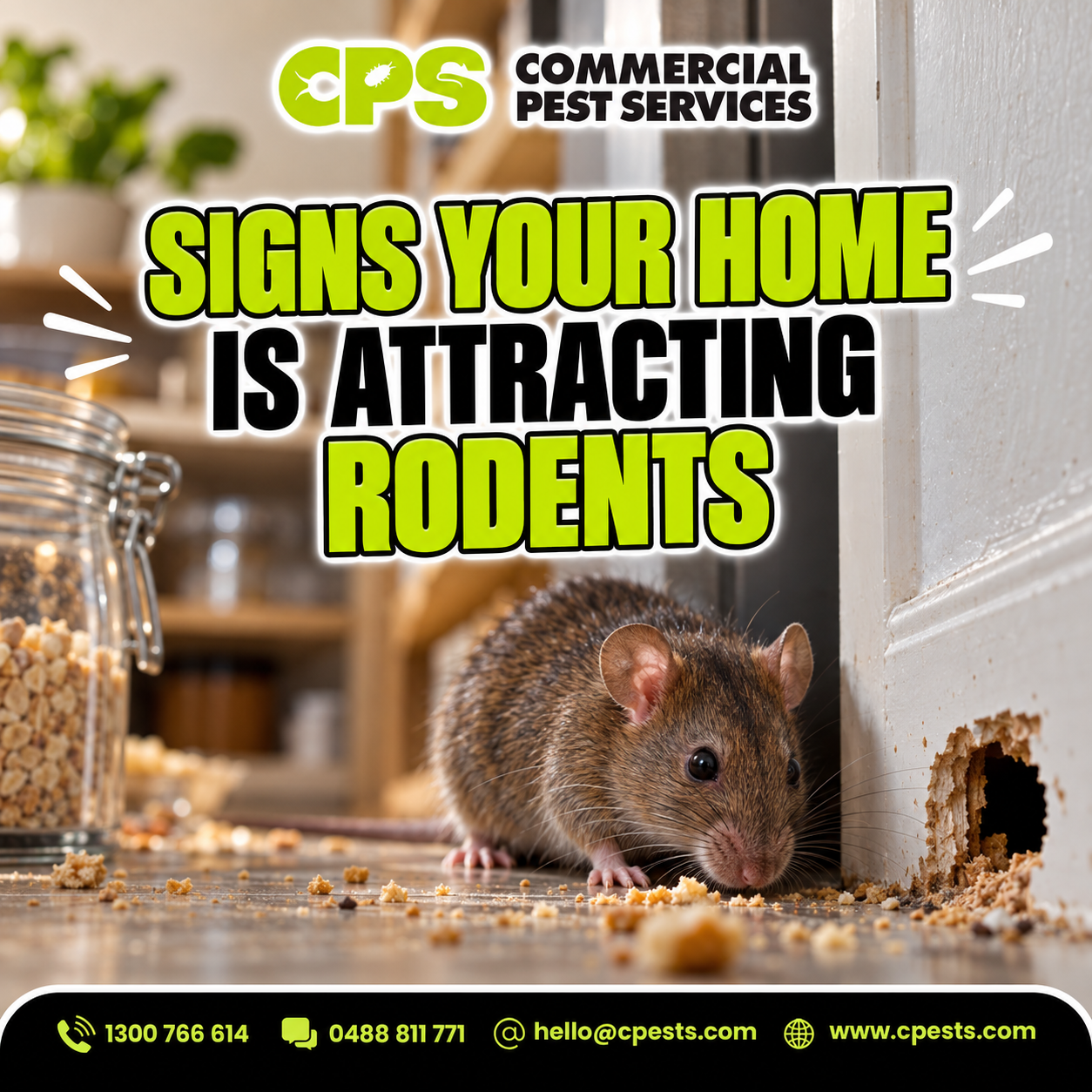 Signs Your Home Is Attracting Rodents 