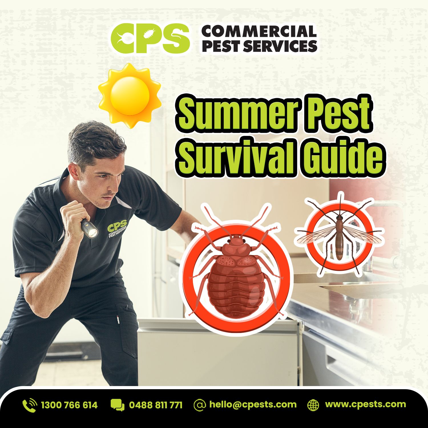 Summer Pest Survival Guide: How to Protect Your Home This Summer 