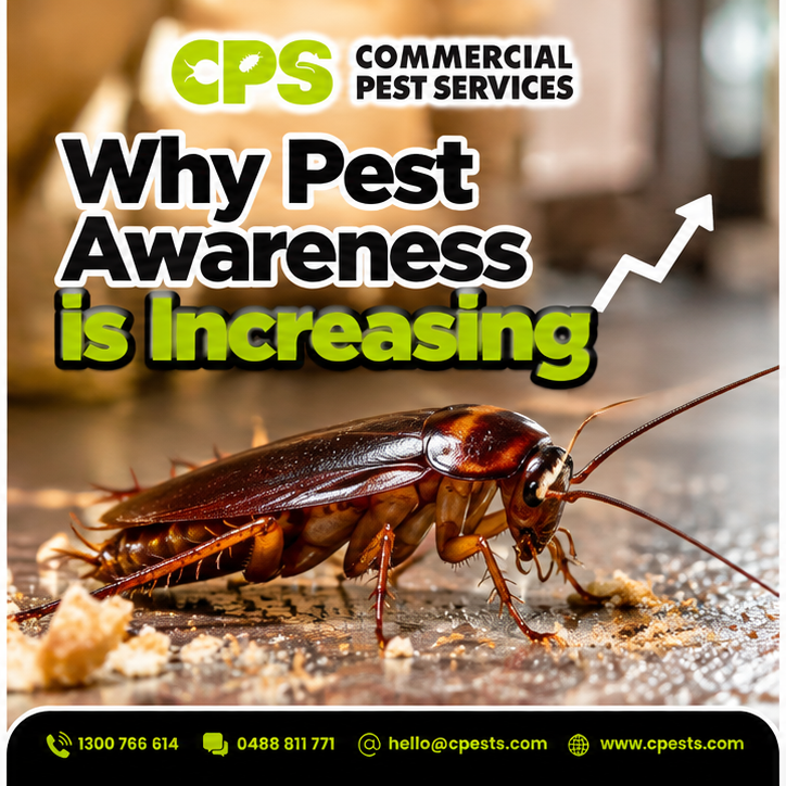 Why Pest Awareness Is Increasing 