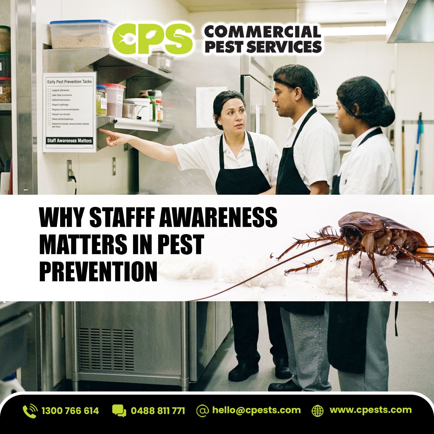 Why Staff Awareness Matters in Pest Prevention 