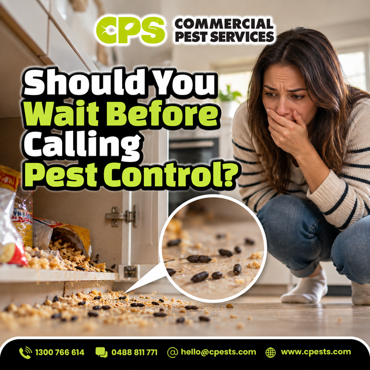 Should You Wait Before Calling Pest Control? 